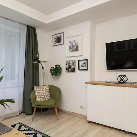 Museum With Large Terrace 公寓