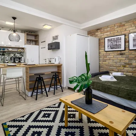 Museum With Large Terrace 公寓 布达佩斯